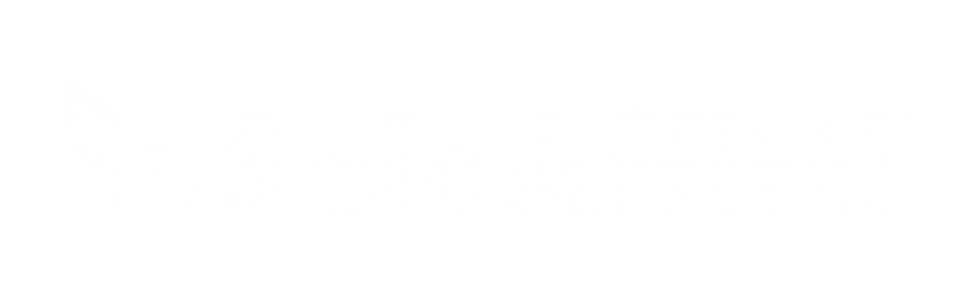 logo soloaffitti